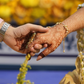 HALDI BRIDE- GOLD BIRD SILVER CHAIN HATHPHOOL (PAIR)