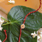KASHTI LUMBA BRACELET RAKHI SET- RED